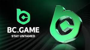 Understanding the BC.Game Mirror Login Process for Seamless Access